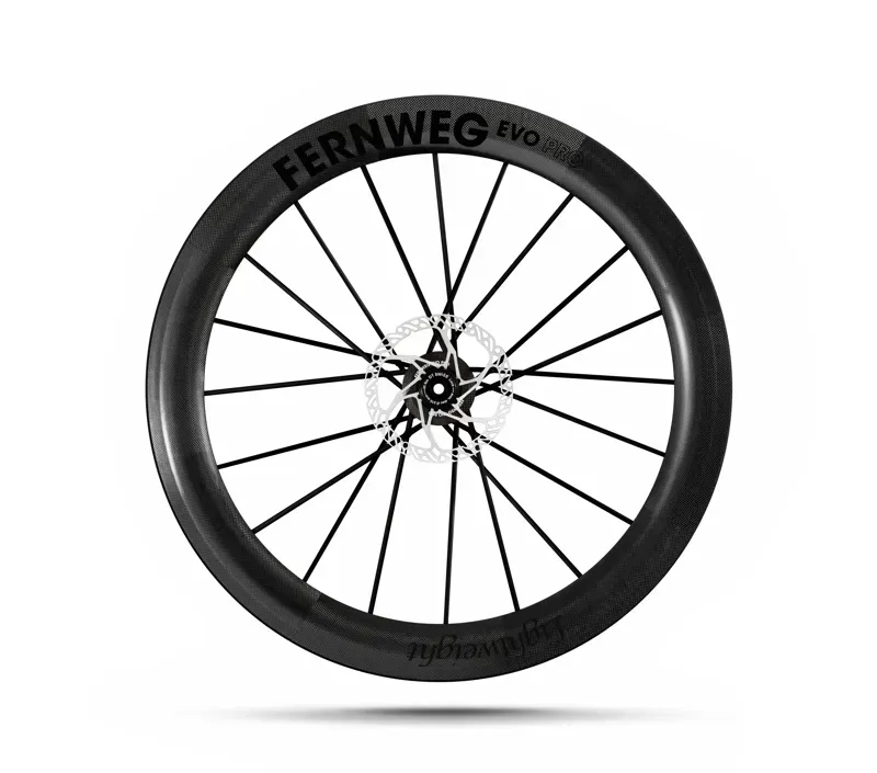 Lightweight Fernweg 63 SE EVO Pro Disc Brake Carbon Wheelset-2