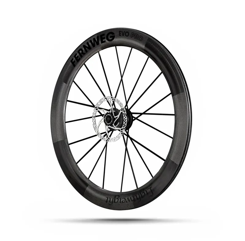 Lightweight Fernweg 63 SE EVO Pro Disc Brake Carbon Wheelset-3