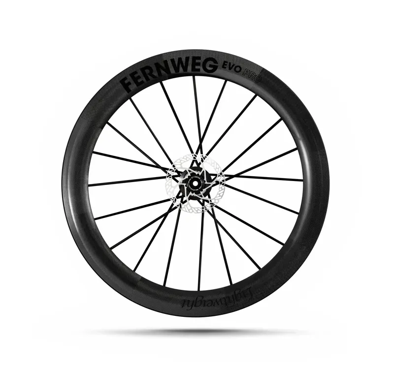 Lightweight Fernweg 63 SE EVO Pro Disc Brake Carbon Wheelset-4