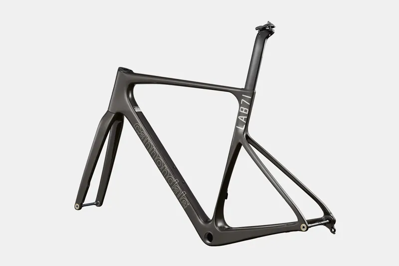 Cannondale SuperSix EVO LAB71 A/M Raw Frameset-2