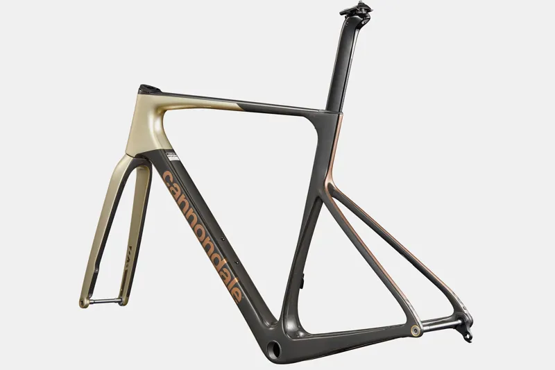 Cannondale SuperSix EVO Hi-MOD A/M Platinum Carbon Road Frameset-2